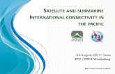 SATELLITE AND SUBMARINE INTERNATIONAL CONNECTIVITY IN THE ... · Moving to the Gb/s Era ! 1. ... • Small volumes keeps price high for satellite bandwidth for small islands operators