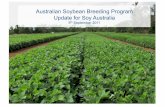Australian Soybean Breeding Program Update for Soy … · Australian Soybean Breeding Program Update for Soy Australia ... Australian Soybean Breeding Program ... NF246-64 3.6 13.04