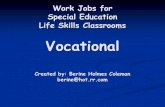 Work Jobs for Special Education Life Skills Classroomsese.dadeschools.net/autism/pdfs13/Vocational_Ideas.pdf · Work Jobs for Special Education Life Skills Classrooms Vocational ...