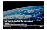A Clear View Using Component Business Modelling - IBM€¦ · Business Unit Designation or other informationBusiness Unit Designation or other information A Clear View Using Component
