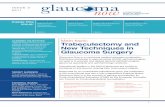 Trabeculectomy and New Techniques in Glaucoma … · Glaucoma Now – Issue No 2, 2011. 1 issue 2 2011 Main topic: Trabeculectomy and New Techniques in Glaucoma Surgery TARGET AUDIENCE