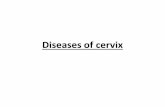 I. Inflammations - Med Study Group - Blogmsg2018.weebly.com/uploads/1/6/1/0/16101502/cervix_lecture-edited.… · A. Cervical Intraepithelial Neoplasia (Squamous Intraepithelial Lesions)