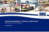 Competition Policy Reviewcompetitionpolicyreview.gov.au/files/2014/06/R_CA.pdf · regulations that impact the sector’s operating environment. ... Small business is big business