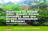 Running to Stand Still: Small-Scale Farmers and the Green Revolution … · Running to Stand Still: Small-Scale Farmers and the Green Revolution in ... Dr Blessings Chinsinga ...