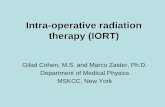 Intra-operative radiation therapy (IORT) · exposed and the applicator can be placed directly over the target • Organs at risk may be retracted and shielded as ... Intra-operative