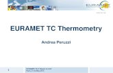 EURAMET TC Thermometry - BIPM · 1 EURAMET TC-T Report to CCT Paris, 21-23 May 2014 EURAMET TC Thermometry Andrea Peruzzi . CCT/14-52