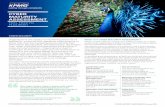 Cyber Maturity Assessment - KPMG | US · CYBER MATURITY ASSESSMENT CYBER SECURITY FEEL FREE TO FLOURISH. Organisations are subject to increasing amounts of ... turning information