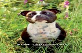 THE KENNEL CLUB DOG HEALTH GROUP€¦ · THE KENNEL CLUB DOG HEALTH GROUP ANNUAL REPORT 2013 CONTENTS ... the breed started to see an increase, ... To plan for the future we needed