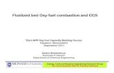 Third APP Oxy- - University of Newcastle · Fluidized bed Oxy-Fluidized bed Oxy ---fuel combustion and CCSfuel combustion and CCS Third APP Oxy-Third APP Oxy ---fuel Capacity Building