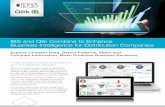 IBS and Qlik Combine to Enhance Business Intelligence for ... · IBS and Qlik Combine to Enhance Business Intelligence for Distribution Companies Explore Complex Data, Detect Patterns,