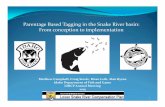 Parentage Tagging in the Snake River basin - U.S. Fish … Annual Meeting/Mar...Parentage Based Tagging in the Snake River basin: ... SNP panel matched those made using CWTs. 1. Demonstrate
