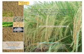 Kharif- 2014 Basmati Acreage & Yield Estimation in Punjab, …apeda.gov.in/apedawebsite/trade_promotion/BSK-2014/... ·  · 2016-10-04Page 0 of 18 AgriNet Solutions asd [Type the
