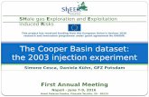 The Cooper Basin dataset: the 2003 injection experiment · Hotel Palazzo Esedra, Piazzale Tecchio, 50 ... “Summary of Microseismic Network operations ... Gutenberg-Richter (Asanuma