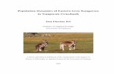 Population dynamics of eastern grey kangaroos in temperate grasslands… · Population Dynamics of Eastern Grey Kangaroos ... who designed a larger kangaroo research project ... increase