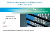 Microbiome and Bacterial-Overgrowth (SIBO and IBS)  and Bacterial-Overgrowth (SIBO and IBS) ... rhinitis, poylcystic ovar, ... PPI-use, atrophic gastritis
