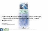 Managing Turbine Operating Costs Through Comprehensive and ... · Managing Turbine Operating Costs Through Comprehensive and Targeted Rotor Blade ... from the manufacturing process
