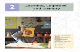 2 Learning, Cognition, and Memory - HE educators | …catalogue.pearsoned.co.uk/samplechapter/0130994235.… ·  · 2009-06-292 Learning, Cognition, and Memory • Case Study: The