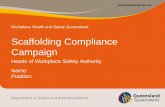 Scaffolding Compliance Campaign - WorkSafe … Compliance Campaign Heads of Workplace Safety Authority Name: Position: ... – 9 per cent of scaffolding cradles were not in good condition