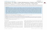 Transition of LINE-1 DNA Methylation Status and Altered ... · Transition of LINE-1 DNA Methylation Status and Altered Expression in First and Third Trimester Placentas ... unintended