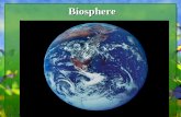 What is ecology? - Wikispaces-+10.25.10... · Habitat & Niche • Habitat is the ... – Habitat loss 16 June 2010 Biodiversity.ppt 48. Threats to Biodiversity • Extinction and