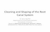 Cleaning and Shaping of the Root Canal System - …semmelweis.hu/.../Cleaning-and-Shaping-of-the-Root-Canal-System-v4... · Cleaning and Shaping of the Root Canal System Dr János