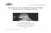 Analysis of autofrettaged high pressure components - All …allnaturalfreshness.com/wp-content/...of-high-pressure-components.pdf · Analysis of autofrettaged high pressure components