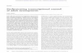 Orchestrating transcriptional control of adult neurogenesisgenesdev.cshlp.org/content/26/10/1010.full.pdf · Orchestrating transcriptional control of adult neurogenesis Jenny Hsieh1