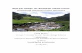 Illegal gold mining in the Chimanimani National Reserve 2013/Illegal gold mining in the... · area has the highest number of miners and has a special and fragile ecosystem. Extent