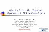 Obesity Drives the Metabolic Syndrome in Spinal Cord … · Obesity Drives the Metabolic Syndrome in Spinal Cord Injury David R. Gater, Jr., ... SBP ≥130 mmHg or DBP ≥85 mm Hg