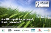Feeding The World Are GM Crops Fit for Purpose? If not, … · Feeding The World... Are GM Crops Fit for Purpose? If not, then what? Aims 2. Broad overview of world hunger/security