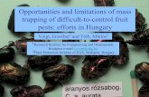 Opportunities and limitations of mass trapping of ... · Table shows mean catches of Anomala scarabs in sex attractant traps set up at the perimeter or inside a peach orchard in 2000,