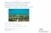Effects of different marine protection levels on fish ... · (Halpern, 2003; Claudet et al., 2008; Lester et al., 2009; Villamor & Becerro, 2012; Sheehan et ... Therefore, this site