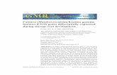 Cassava (Manihot esculenta Krantz) genome harbors … · Genetics and Molecular Research 13 (4): 10714-10726 (2014) ©FUNPEC-RP Cassava (Manihot esculenta Krantz) genome harbors KNOX