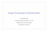 AA 2008-2009 Facoltà di Scienze MM, FF e NN … Processing for Bioinformatics AA 2008-2009 Facoltà di Scienze MM, FF e NN Dipartimento di Informatica Università di Verona