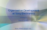 Organization Development at Sony Electronics - AIMC · Organization Development at Sony Electronics presented by: ... Supply chain management and customer satisfaction (and retail/consumer