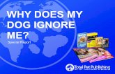 WHY DOES MY DOG IGNORE ME? - K9 Magazine€¦ · Why does my dog ignore me is, ... as it encourages the animal to try harder, ... Any verbal admonishment from me is received with