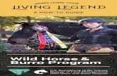 Wild Horse & Burro Program - BUREAU OF LAND … Horse & Burro Program ... you'll be amazed at what they show. ... May or may not be trained 1 2 3 After gathered from public lands,