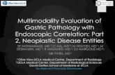 Multimodality Evaluation of Gastric Pathology with ...c.ymcdn.com/sites/ (A) rugal folds, (B) mucosa with areae gastricae pattern and GE junction, (C) distensibility(D) and posterior