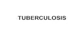 TUBERCULOSIS - Warszawski Uniwersytet Medyczny · TIMETABLE OF DISEASE AFTER PRIMARY INFECTION IN CHILDREN ... tuberculosis . Positive TST Active TB disease Latent TB infection Recent