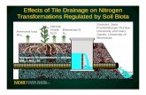 Effects of Tile Drainage on Nitrogen Transformations … · nitrous oxide (N 2O) Denitrification, Nitrous oxide (N 2O) ... Principles and Applications of Soil ... franzen workshop