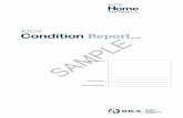 RICS Condition Report sample - Foundation · Introduction to the report ... Description of the RICS Condition Report Service Typical house ... boiler or other flues. We note in our