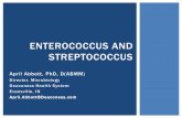 ENTEROCOCCUS AND STREPTOCOCCUS - SWACM · ENTEROCOCCUS AND STREPTOCOCCUS April Abbott, PhD, D(ABMM) Director, Microbiology Deaconess Health System Evansville, IN ... Ampicillin …