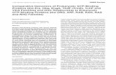 Comparative Genomics of Prokaryotic GTP-Binding … · D-17487 Greifswald, Germany ... Aquifex aeolicus Aae Neisseria gonorrhoeae Ngo ... Chlamydia pneumoniae Cpn Schizosaccharomyces