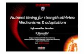 Nutrient timing for strength athletes: Mechanisms adaptationscsusap.csu.edu.au/~sbird/Research/NutrientTiming/Nutri… ·  · 2012-08-28Nutrient timing for strength athletes: Mechanisms
