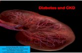Diabetes and CKD - CANNT Steel Diabetes and CKD.pdfDiabetes and CKD Andrew Steele MD, ... Much of the excess CVD risk in diabetes occurs in the subset of ... *Examples are shown on