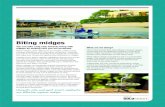 Biting midges fact sheet - City of Gold Coast · Mosquito coils and most insect repellants are effective a ainst mid es. Biting midges You can take a big step towards living with