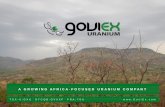A GROWING AFRICA- FOCUSED URANIUM … Disclaimers and Cautionary Statements This presentation is proprietary to GoviEx Uranium Inc. (the “Company” or “GoviEx”) and may not