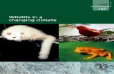 Wildlife in a changing climate Wildlife in a changing … ecosystems and geographical regions are covered, as well. Adequate responses to climate change are also discussed, such as