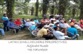 LATAM SMALLHOLDERS PERSPECTIVES … Rueda Nes Naturaleza Based in Colombia Initiative that aims to create value in the countryside ... LATAM PALM OIL AGROINDUSTRY ...