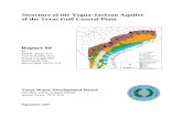 Yegua-Jackson Aquifer Structure Report-Final-V05 · 4.2 Stratigraphic Interpretation Approach ... Yegua-Jackson Aquifer Structure, ... Process chart for automated portion of lithologic